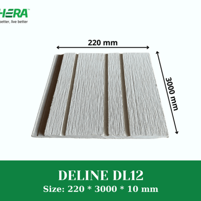 Deline DL12