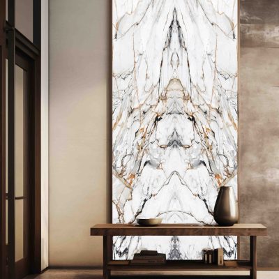 VĐ đối xứng vách đứng 10522