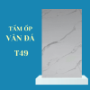 Tấm PVC vân đá TLB T49